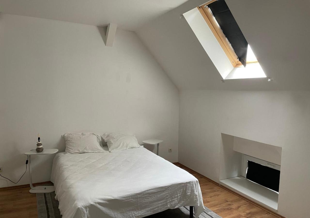 Le Wolf - 1 Chambre Dans Un T3 - 5Mn Tram Du Centre Ville - 15Mn Tram Gare Tgv Mulhouse - Wifi - Parking ภายนอก รูปภาพ